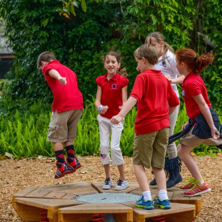 Fjäderlek och vippgungor